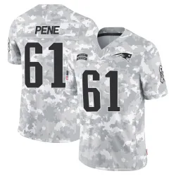 New England Patriots Men's Limited Arctic Camo 2024 Salute to Service Jersey (61 Wilfried Pene)
