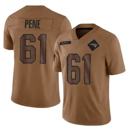 New England Patriots Men's Limited Brown 2023 Salute To Service Jersey (61 Wilfried Pene)