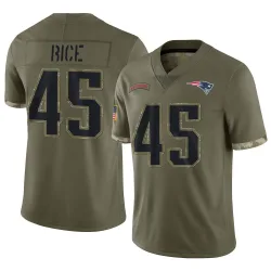 New England Patriots Men's Limited Olive 2022 Salute To Service Jersey (45 Monty Rice)